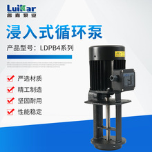 厂家供应浸入式循环泵LDPB4系列立式工业机床冷却循环水泵管道泵