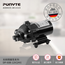 PONYTE 普尼特 DP-60/12V/24V微型无刷电动隔膜泵车油过滤-美容泵