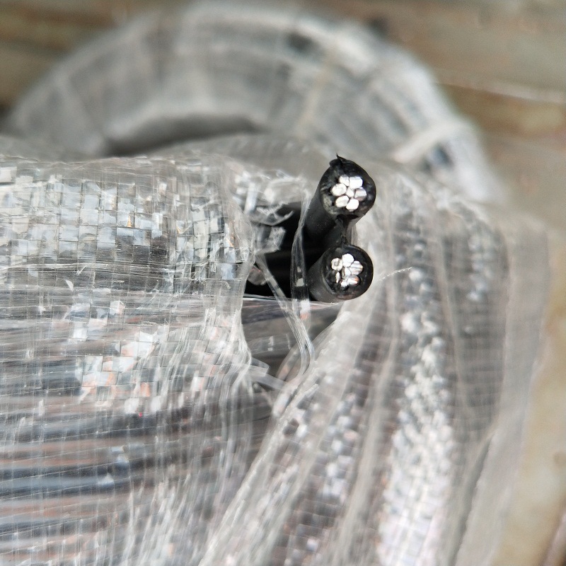 2芯*4 6 10 16平方室外铝芯防老化电线 户外风雨线 平行线 入户线