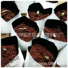 厂家供应黄瓜草莓有机种植用生长基质袋  黑白种植袋不含基质