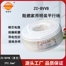 金环宇电缆阻燃铜芯ZC-BVVB 2X2.5双芯护套线BVVB 100米/卷