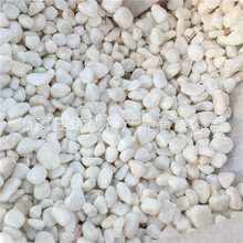 厂家供应白色卵石多肉铺面白石子白色砾石日式枯山水造景白石米