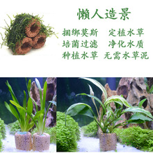 水草定植杯大号生化陶瓷环生物呼吸环种植水草环养草固定环底座