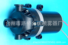 电动喷雾器水泵12V 2600转 电动隔膜泵水泵12v