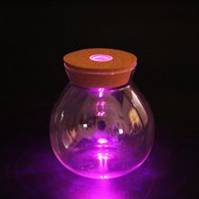 苔藓微景观 七彩带灯玻璃瓶 彩灯木塞玻璃瓶 LED蜡烛带遥控器