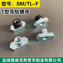 M6 M8 T型槽螺母 SM型安装导轨螺母 TL-F管夹导轨螺母 T型滑块