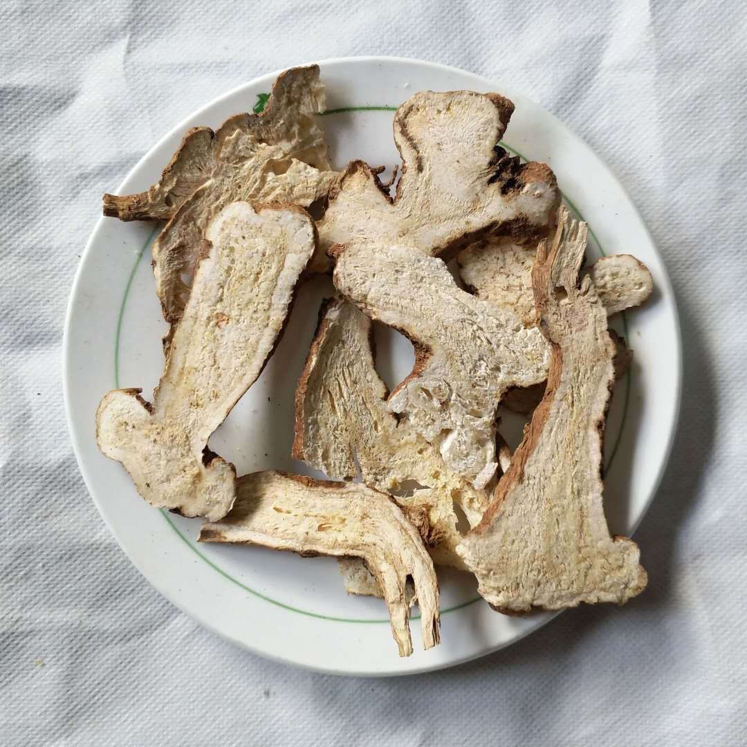 白术 振兴药材  中药材批发供应  白术  规格齐全