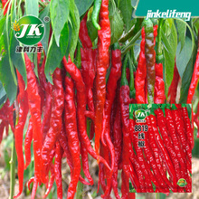厂家批发辣椒种子8819红线椒干椒鲜椒两用种籽辣长春季蔬菜籽种