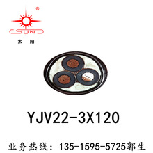 福建南平太阳牌优质铠装电缆YJV22-3*120 厂价供应 现货销售3心电