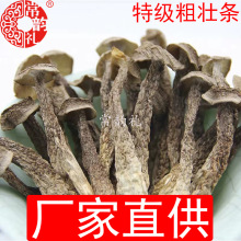 特级鹿茸菇干货粗壮条切根福建厂家直销大量供应批发250克