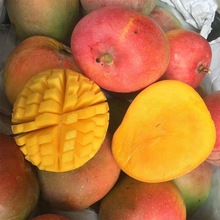 芒果澳芒苹果芒果大芒果新鲜应季水果整箱10斤大芒果新鲜水果