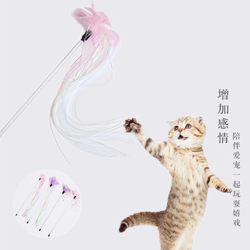 猫咪玩具穗穗卷卷羽毛逗猫棒猫咪自嗨玩具宠物用品工厂现货批