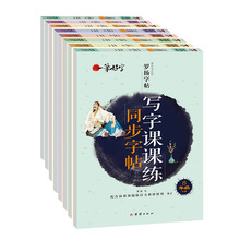 初高中小学生罗扬一笔好字写字课课练同步字帖每日一练课本生字表