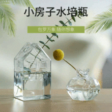 日式手作花器玻璃石榴摆件创意玻璃水培花瓶透明小房子迷你小花瓶