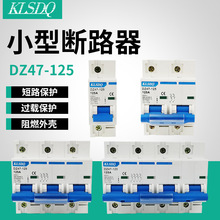 小型断路器DZ47-125 1P/2P/3P/4P 80A100A125A电闸空气开关断路器