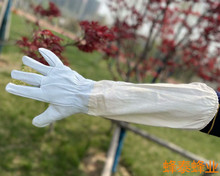 羊皮手套养蜂用具 白色帆布防蜂蜇羊皮手套加厚 养蜂防护工具批发