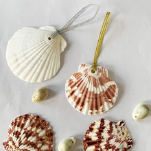 厂家设计定制海螺贝壳工艺品 可以来样定做 贝壳海螺货源批发
