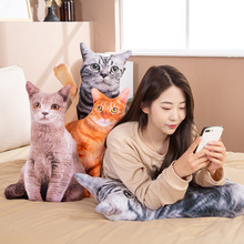 创意3D立体抱枕猫咪 狗狗毛绒玩具公仔儿童礼品生日礼物玩偶