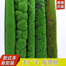 仿真植物墙青苔藓草坪绿色植物场景装饰橱窗展示假苔藓珍珠棉草皮