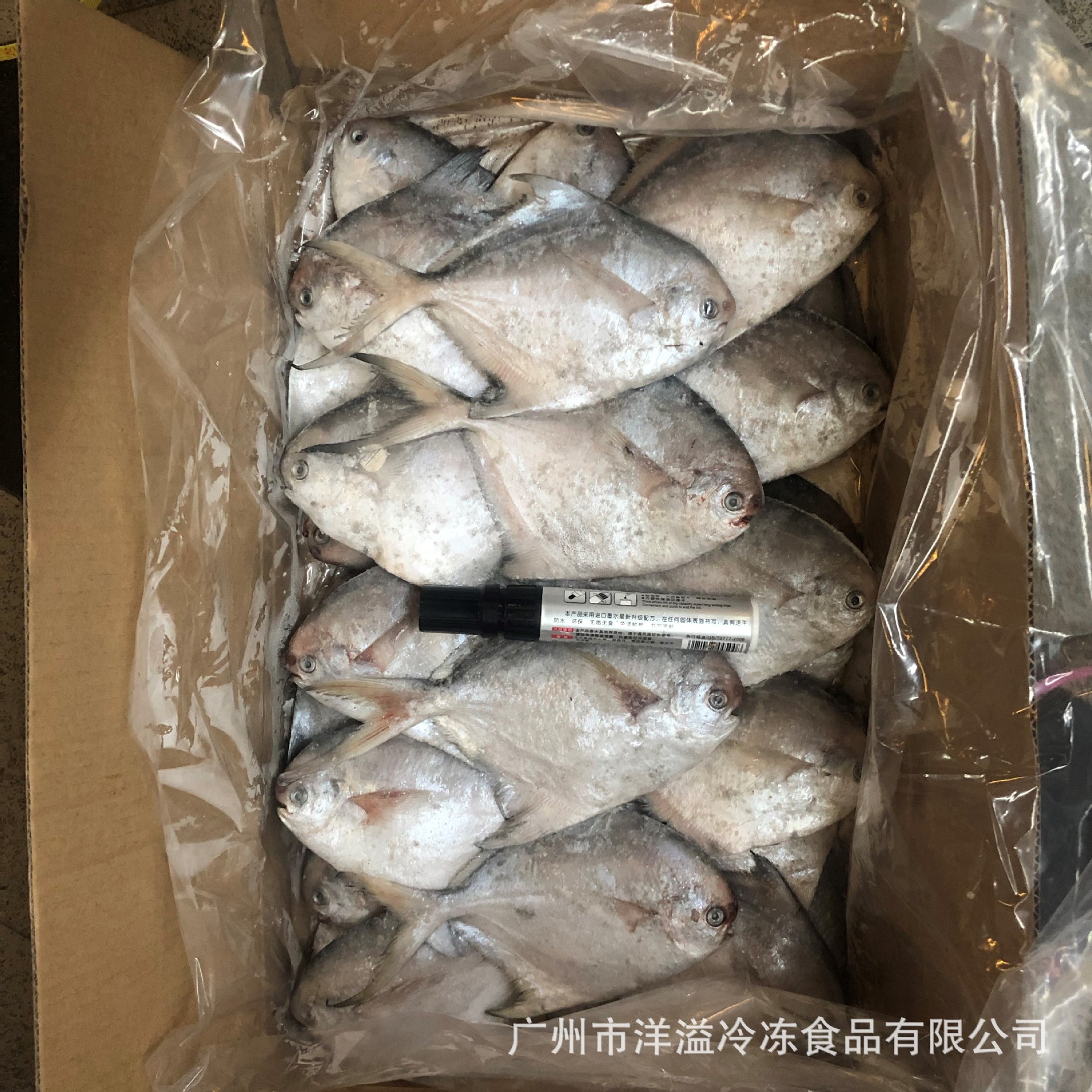 银鲳鱼冷冻白鲳鱼流网鲳饭堂员工餐海鲜水产员工餐酒店自助餐8斤