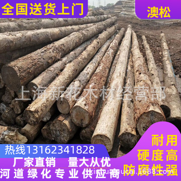 一手4米松木桩批发 松木桩圆木价格 松木桩原木价格 优质松木原木