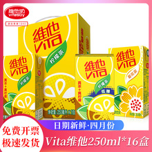 Vita维他250ml*16菊花茶冰爽柠檬茶即食饮料果味饮品