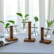 欧式创意小清新透明玻璃水养绿萝植物木架水培花瓶器客厅桌面摆件