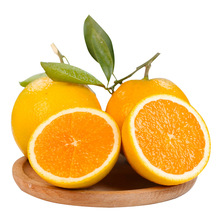 【严选+】湖北秭归伦晚脐橙发3/9斤精品应季新鲜榨汁橙新鲜水果