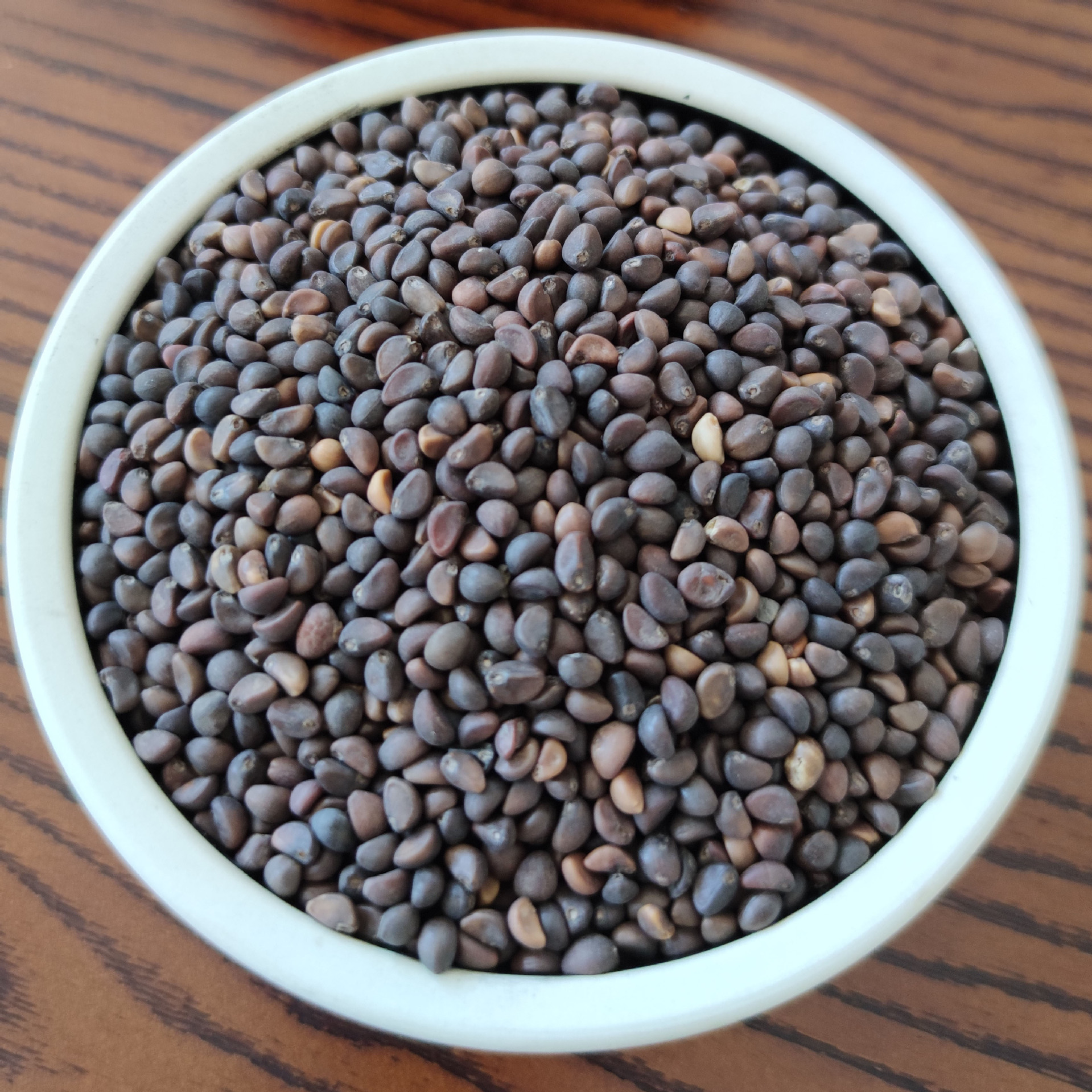 空心菜种子芽苗菜