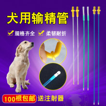 狗用人工受精器输精管 养殖业狗狗输精管针 犬用宠物一次性输精枪