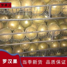 罗汉果新货广西桂林高品质罗汉果大果 散装整箱罗汉果产地直供