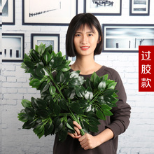 仿真榕树叶手感过胶塑料榕树枝绿色植植物叶子假树枝工程装饰造型