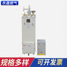 东晟厂家发货 气化炉 高压燃气气化器强制气化器液化气气化器