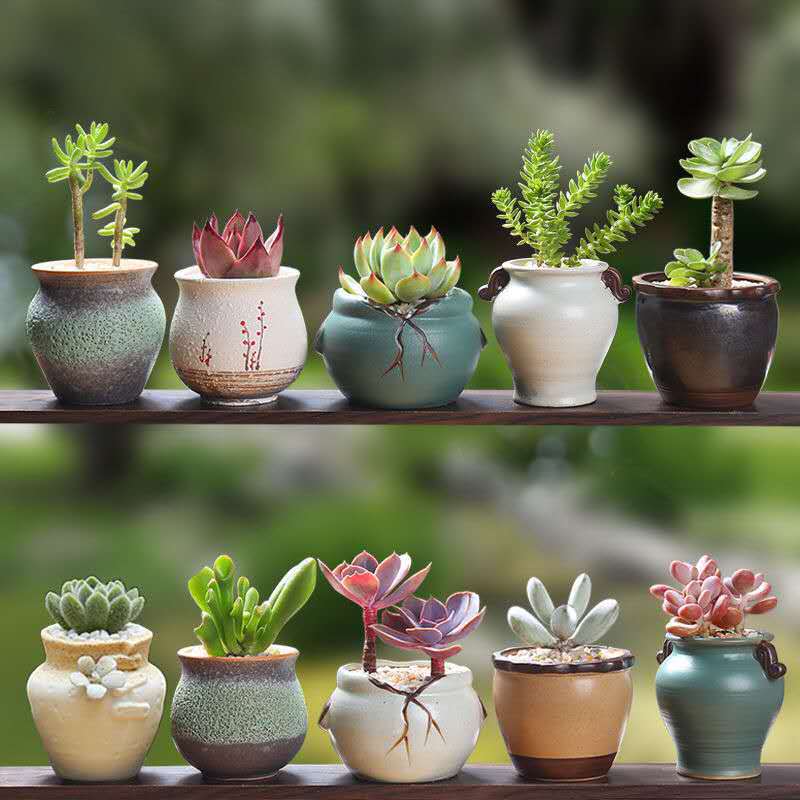 succulent flower pot ceramic gardening ceramic mini small new product creative stoneware retro furnishings new product porcelain jar basin