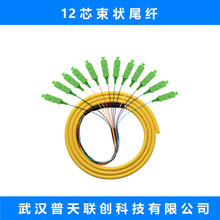 12芯束状尾纤 SC/APC-SM-PVC 单模 束装 广电网络 电信级光纤跳线