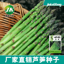 厂家直供批发绿色芦笋种子彩包约80粒多年生蔬菜种子龙须菜菜种子