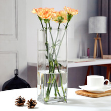 方形落地玻璃花瓶大号特大透明富贵竹插花百合花水养客厅现代简约