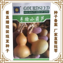 手捻小葫芦 蔬菜种子厂家直售批零大田基地大棚菜园阳台盆栽