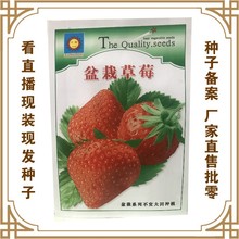 盆栽草莓种子 蔬菜种籽厂家直售批零大田基地大棚阳台菜园种植
