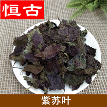 中药材批发紫苏叶500g 新货供应紫苏食用农产品承接大单紫苏叶粉