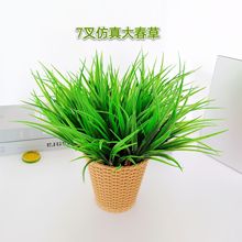 植物假秧苗绿植7叉春草花卉拍照道具塑料花假花摆件批发