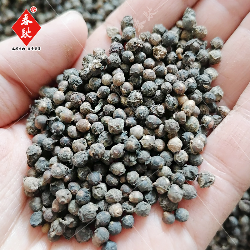 批发大叶木耳菜种子 500g  水培芽苗菜 四季家庭阳台菜园蔬菜种籽