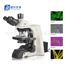 NE910研究级无限远视频正置生物显微镜可配置相衬暗场生物显微镜