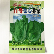 揭美11号包心芥菜种子 10克包芯芥菜酸菜种子 阳台菜园庭院种植