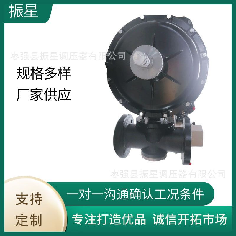 燃气减压阀工业调压阀天然气调压器液化气稳压阀RTZFQ燃烧机锅炉