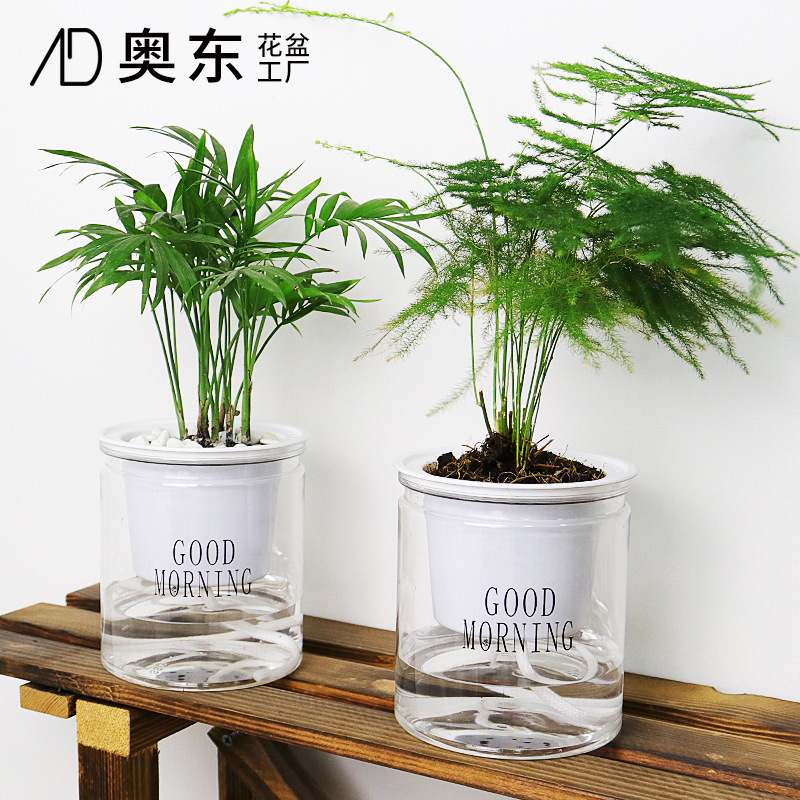 透明懒人花盆自动吸水圆形塑料水培早安盆器创意多肉花盆PET吹瓶