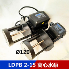 睿嘉水泵ldpb2-15sp ldpb2-15tp机床专用水泵侵入式循环泵