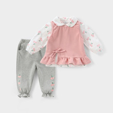 婴儿春秋套装1-5岁女童长袖套装儿童两件套女孩女宝宝秋装