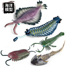 仿真海洋海底动物模型摆件儿童认知玩具寒武纪远古生物奇虾鹦鹉螺