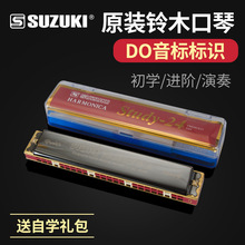 铃木Suzuki24孔特别调C调 复音口琴成人初学儿童教学演奏口琴